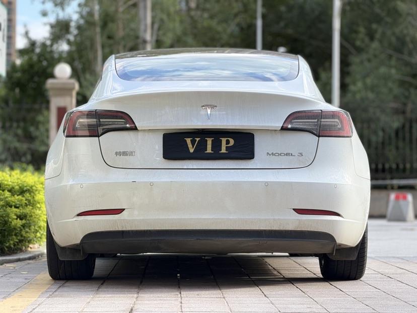 Tesla Model 3 2021 car image #5
