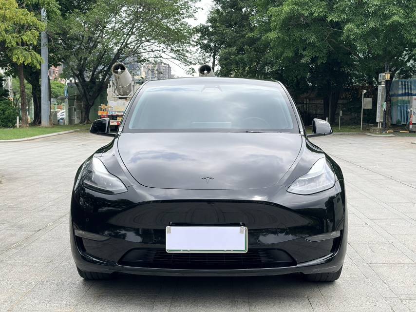 Tesla Model Y 2021 #2 Tesla Model Y 2021 car image #2