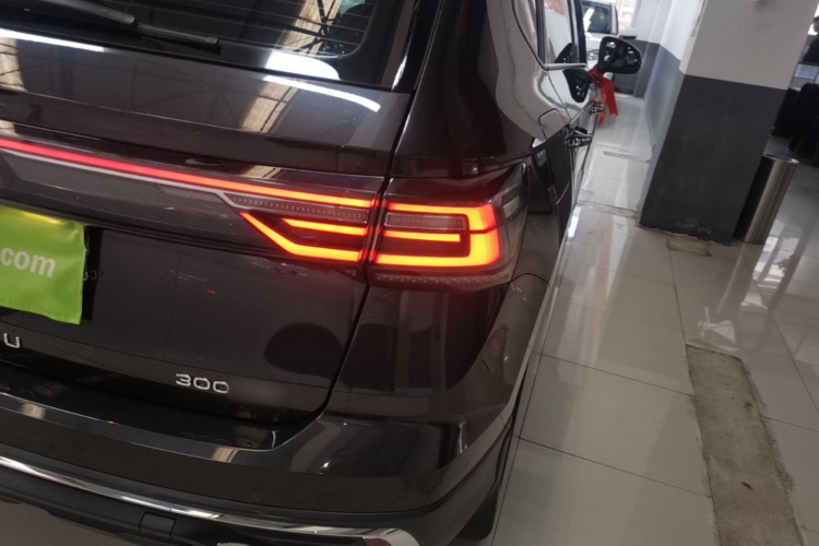 Volkswagen Tharu 2024 car image #8