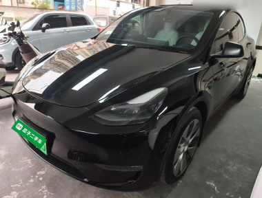 Tesla Model Y 2022 Tesla Model Y 2022 car image