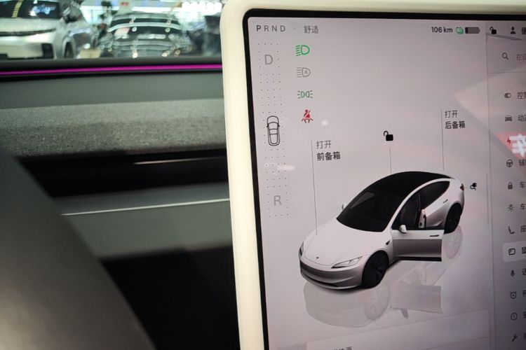 Tesla Model 3 2025 immagine di auto #14
