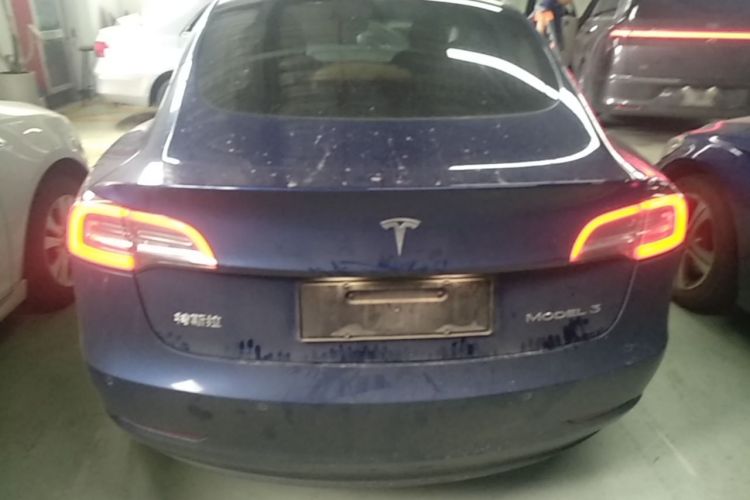 Tesla Model 3 2020 car image #6