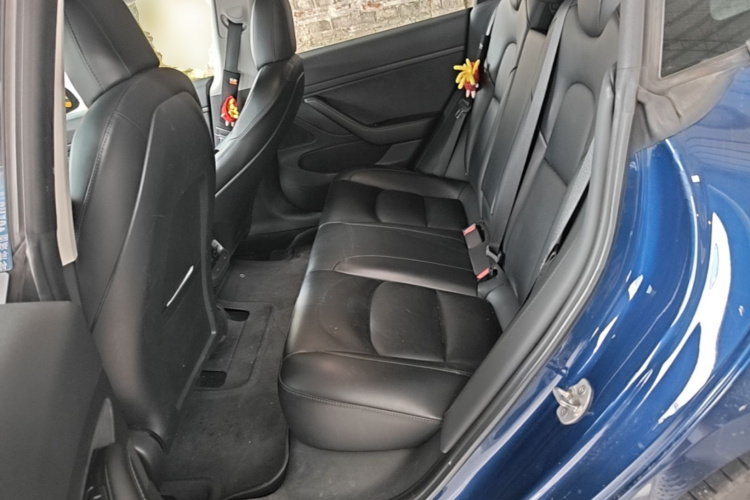 Tesla Model 3 2020 car image #17
