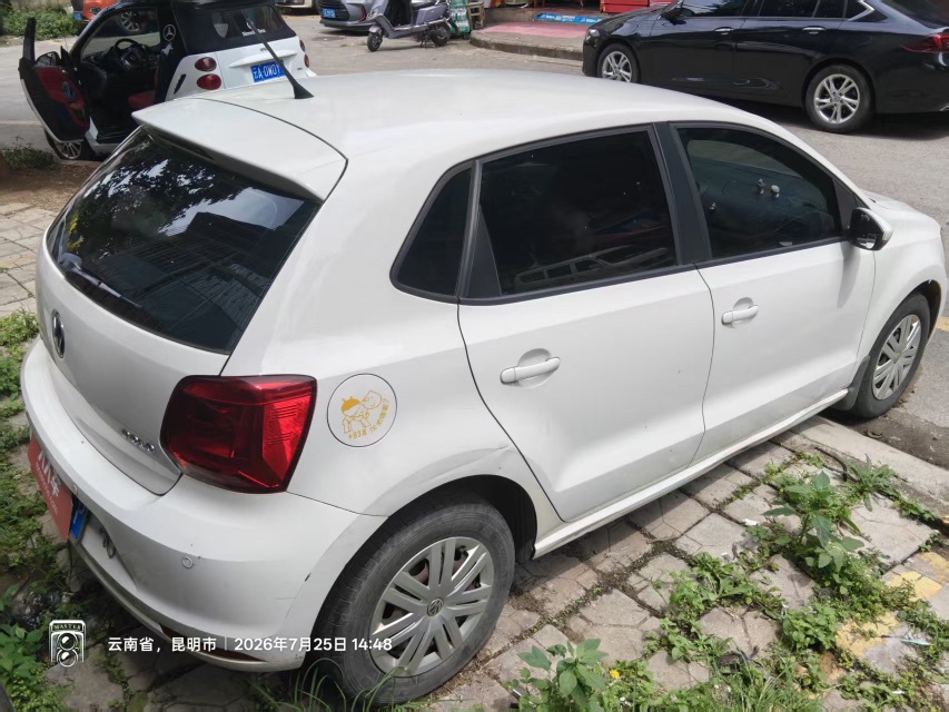 Volkswagen Polo 2014 car image #4
