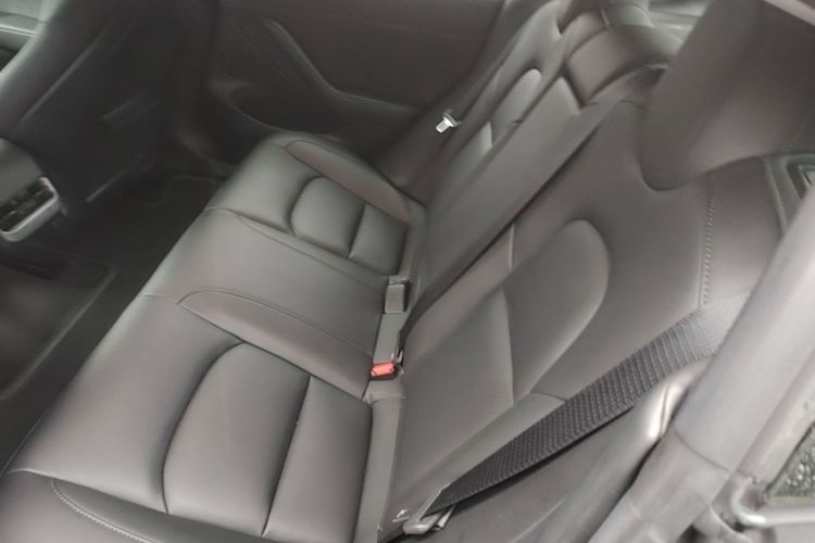 Tesla Model 3 2021 car image #13