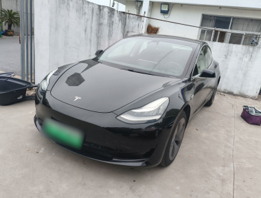 Tesla Model 3 2020 car image 