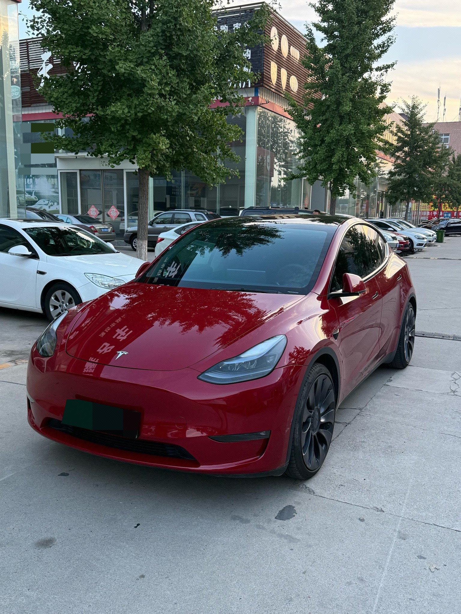Tesla Model Y 2022 car image 