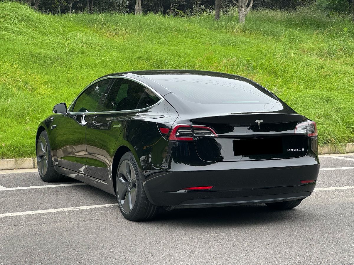 Tesla Model 3 2021 #14 Tesla Model 3 2021 car image #14