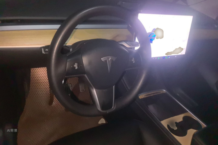 Tesla Model Y 2021 car image #12