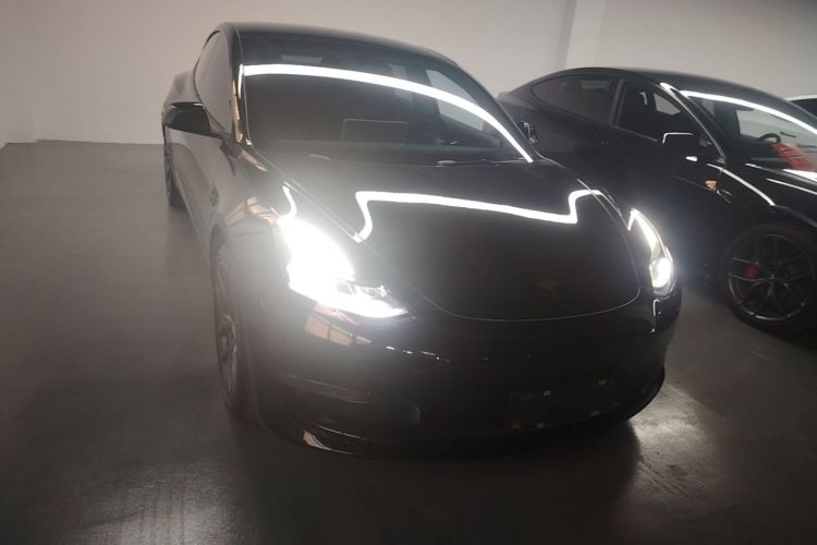 Tesla Model 3 2023 #3 Tesla Model 3 2023 car image #3
