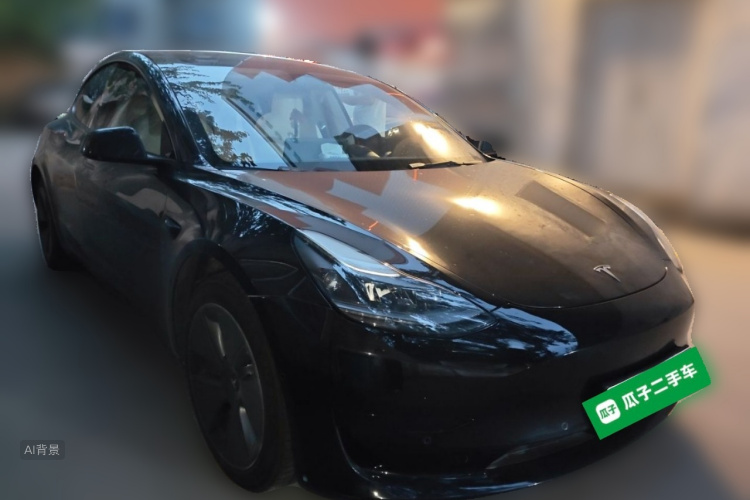 Tesla Model 3 2022 car image #4