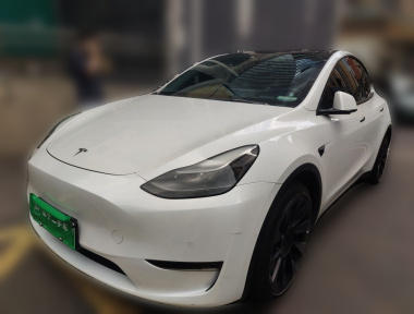 Tesla Model Y 2021 Tesla Model Y 2021 car image