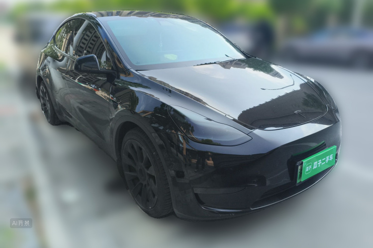 Tesla Model Y 2021 #4 Tesla Model Y 2021 car image #4