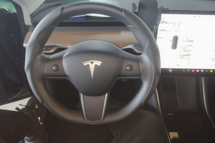Tesla Model 3 2020 car image #11