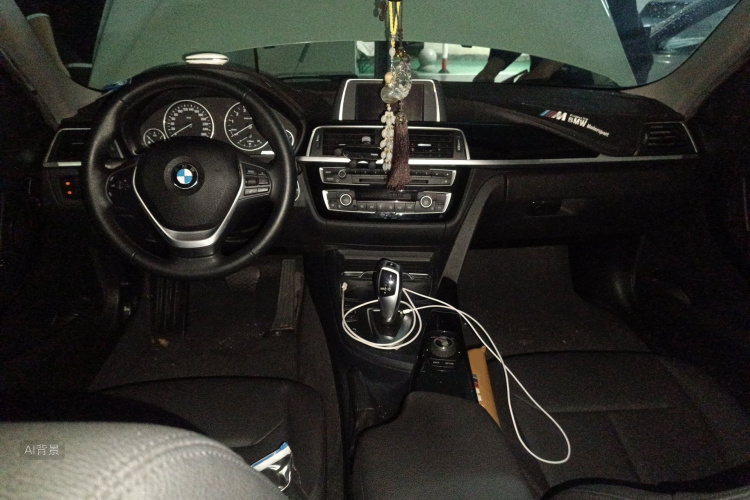 BMW 3 Series 2016 car image #11