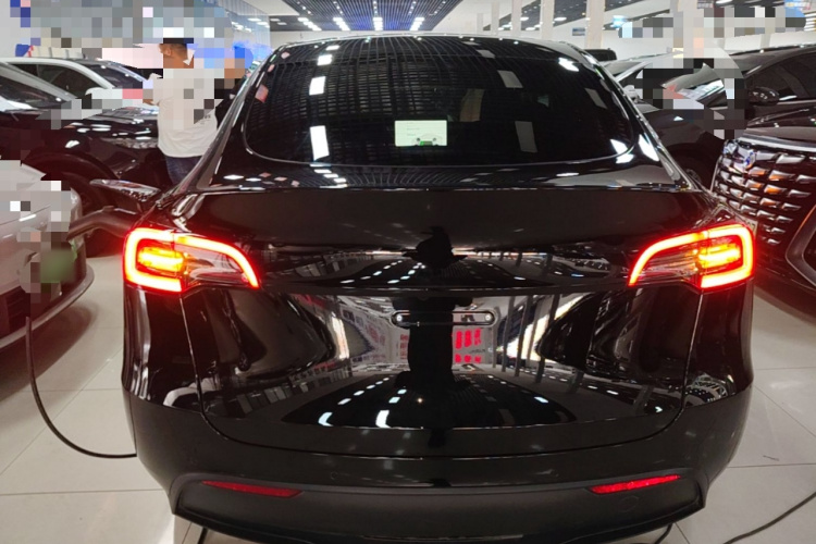 Tesla Model Y 2023 #6 Tesla Model Y 2023 car image #6