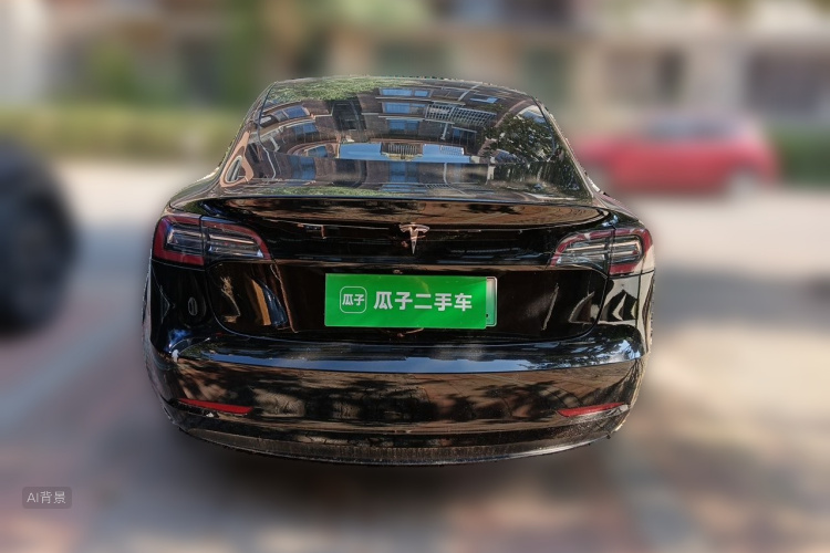 Tesla Model 3 2020 car image #6