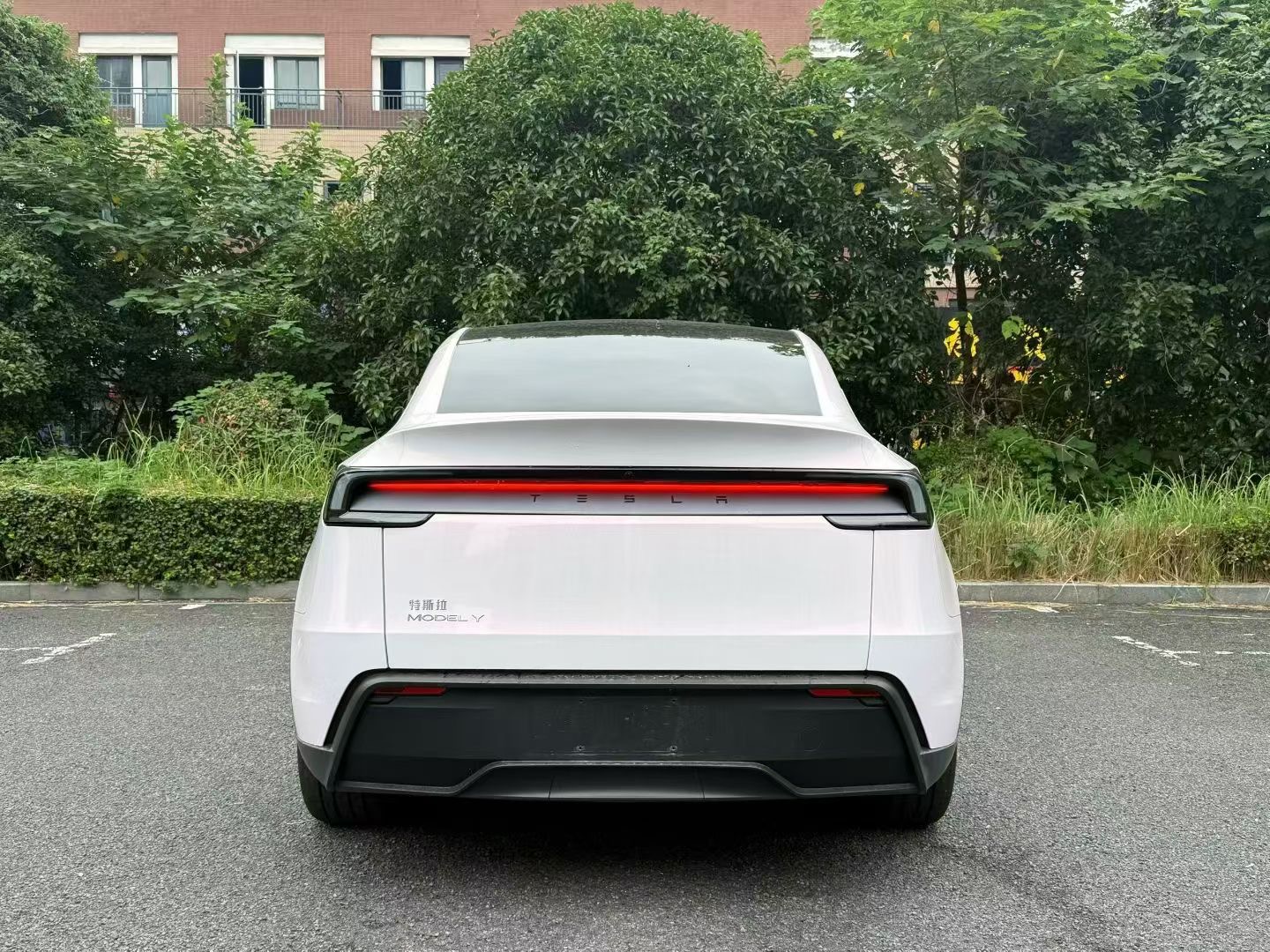 Tesla Model Y 2026 #8 Tesla Model Y 2026 car image #8