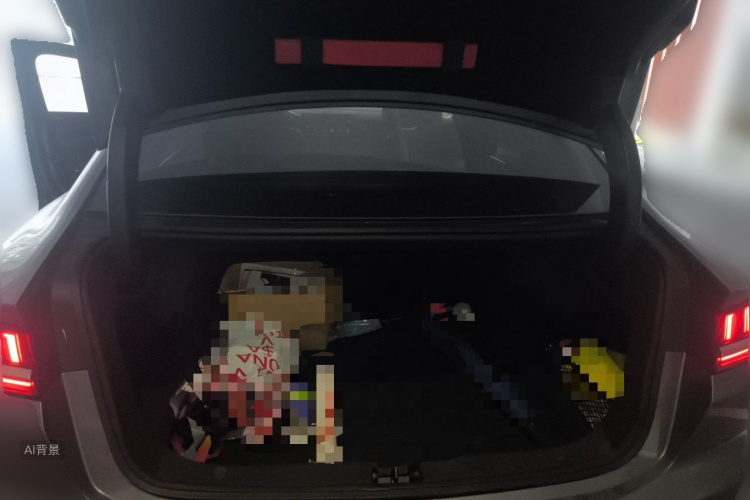 BYD Han 2021 car image #21