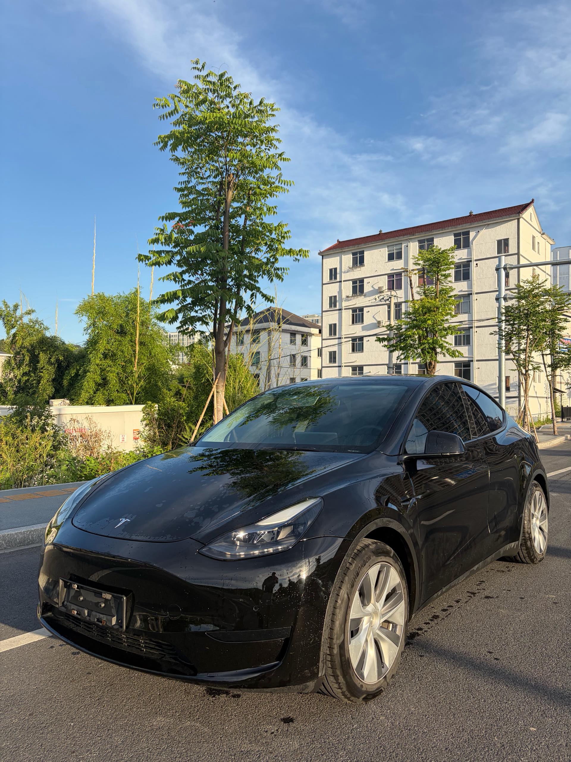 Tesla Model Y 2023 car image 