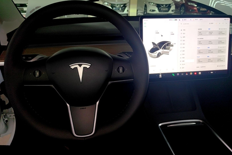 Tesla Model 3 2021 car image #11