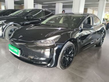 Tesla Model 3 2023 Tesla Model 3 2023 immagine di auto