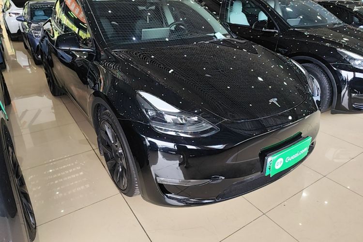 Tesla Model Y 2021 car image #6