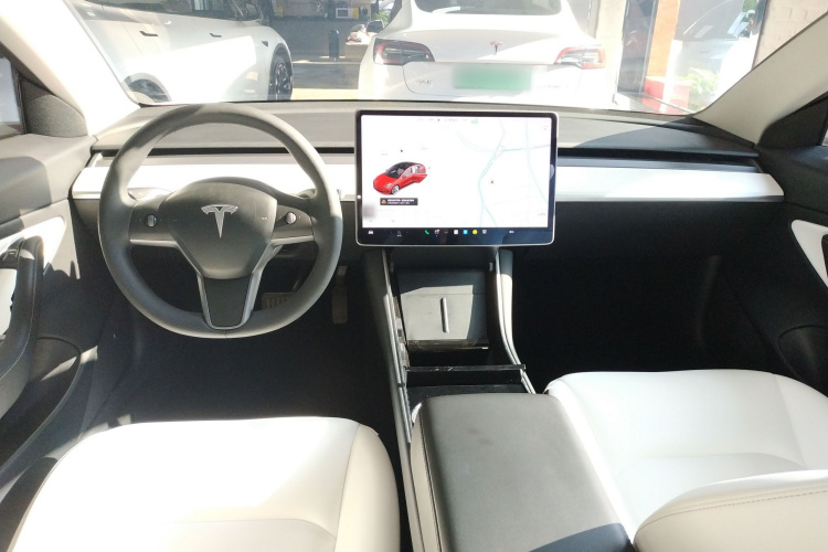 Tesla Model 3 2020 car image #10