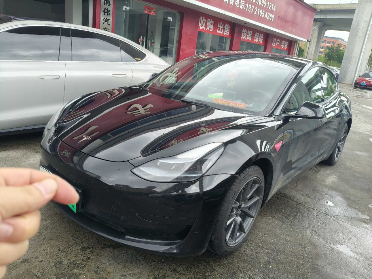 Tesla Model 3 2023 Tesla Model 3 2023 car image