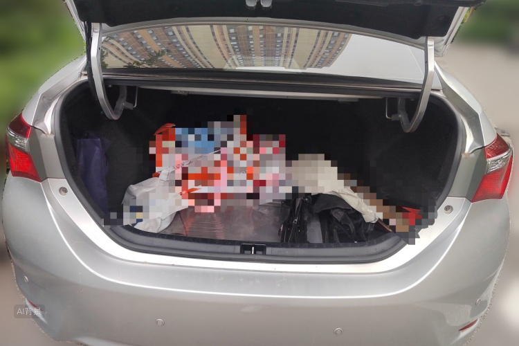 Toyota Corolla 2019 #21 Toyota Corolla 2019 car image #21