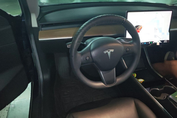 Tesla Model 3 2020 #12 Tesla Model 3 2020 car image #12