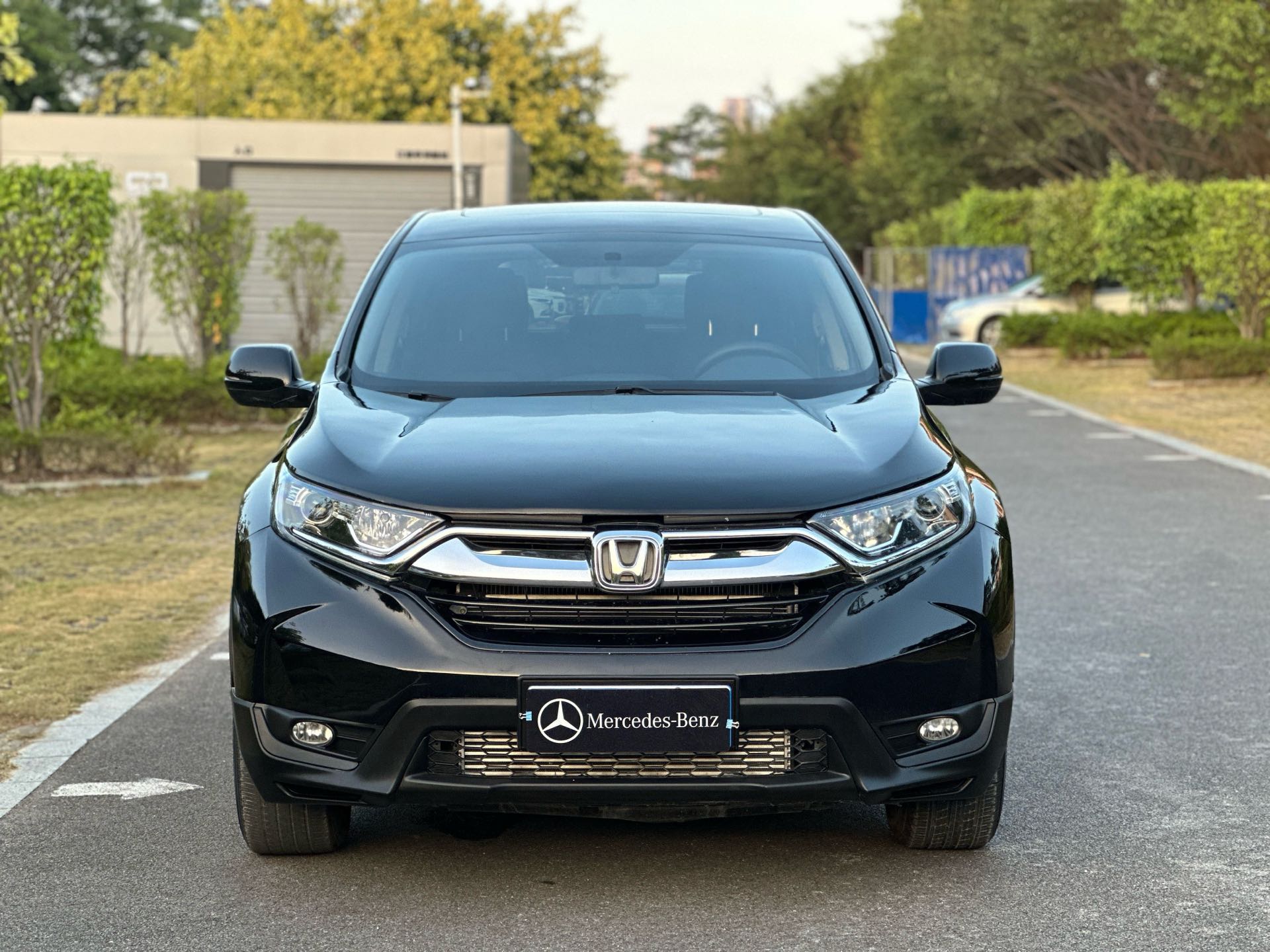 2019 #3 2019 car image #3