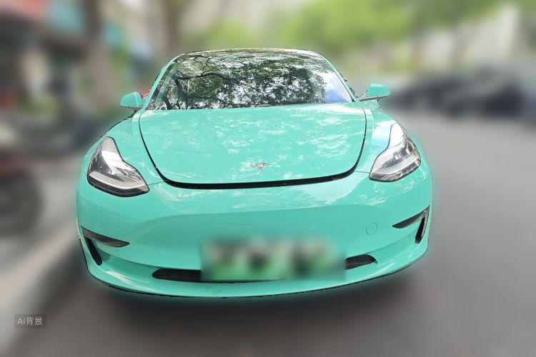Tesla Model 3 2020 car image #3
