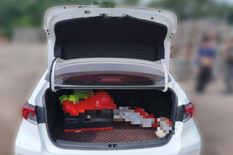 Toyota Corolla 2021 car image #21
