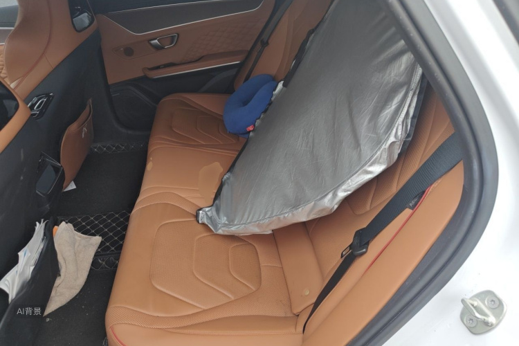BYD Han 2022 image de voiture #19