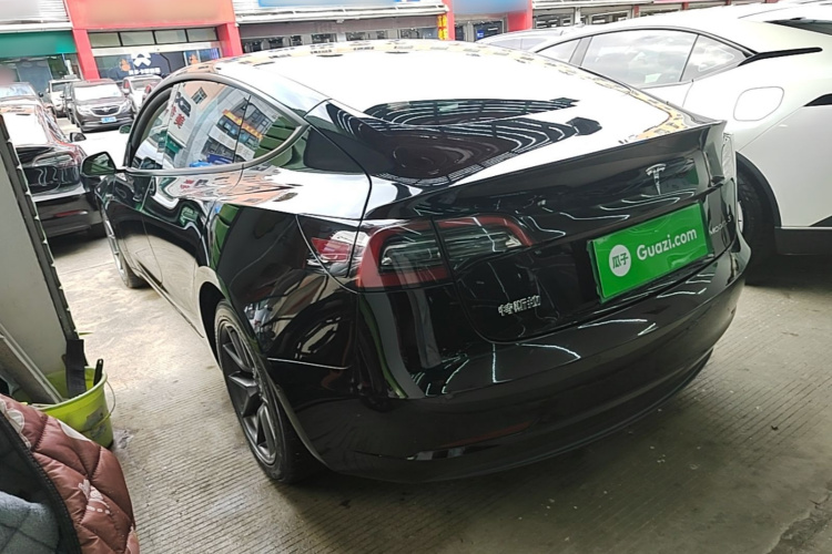 Tesla Model 3 2021 #5 Tesla Model 3 2021 car image #5