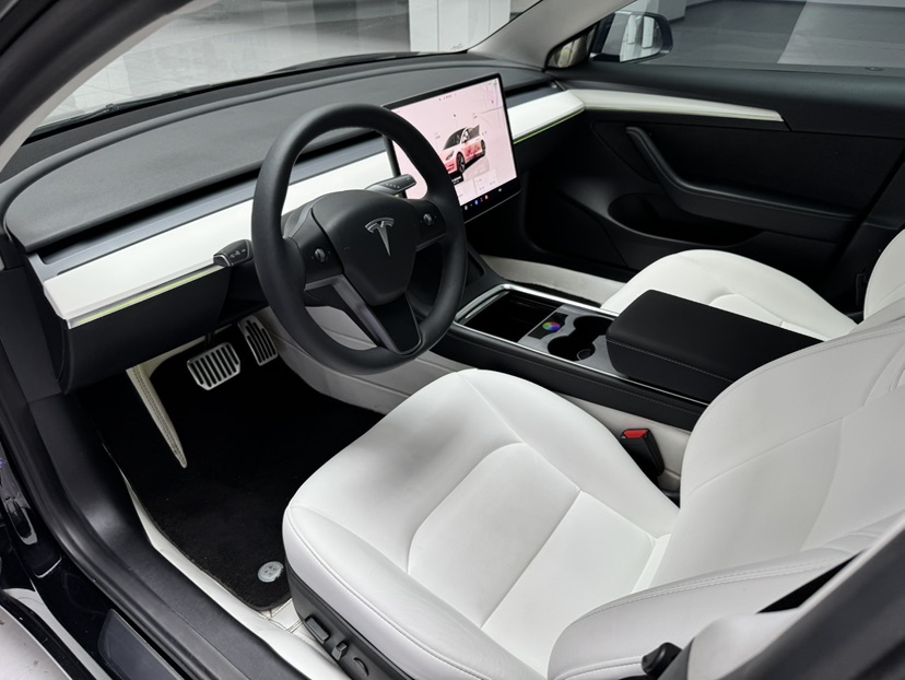 Tesla Model 3 2022 car image #10