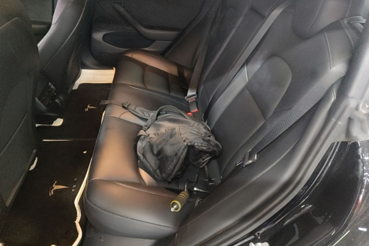 Tesla Model 3 2023 car image #17