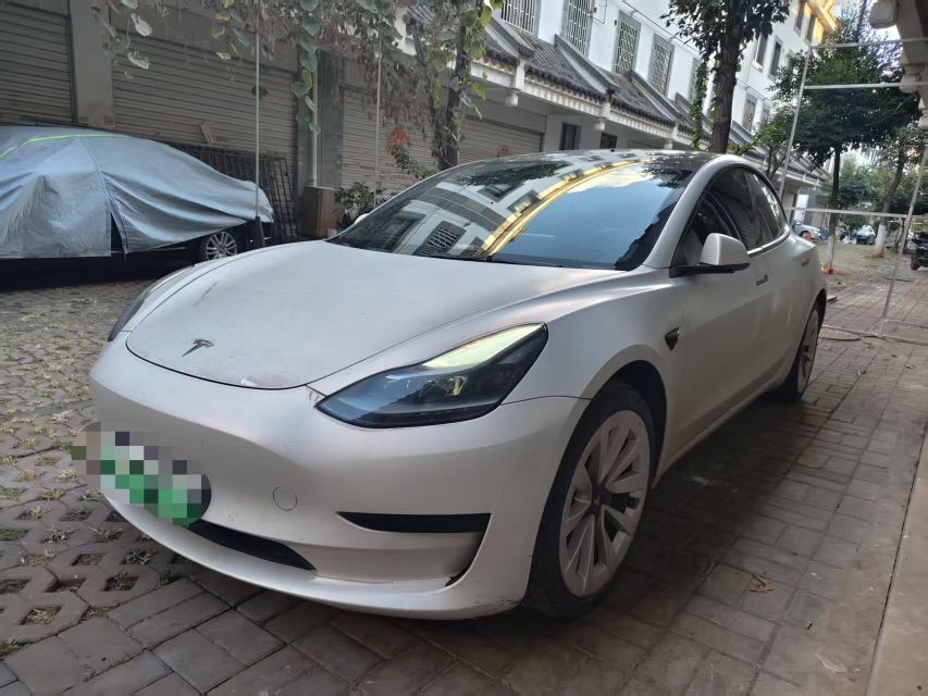 特斯拉 Model 3 2021 汽车图片 