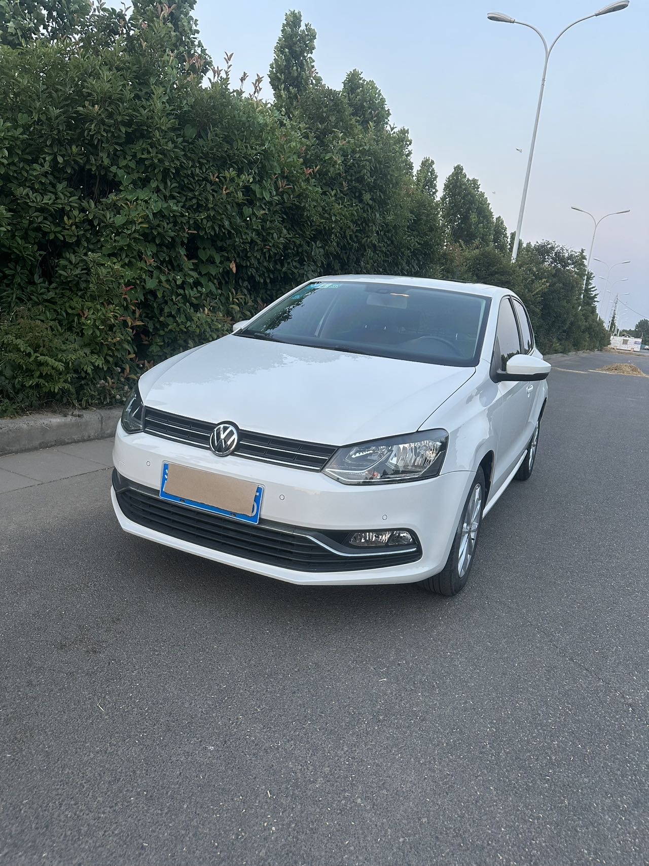 Volkswagen Polo 2015 car image 