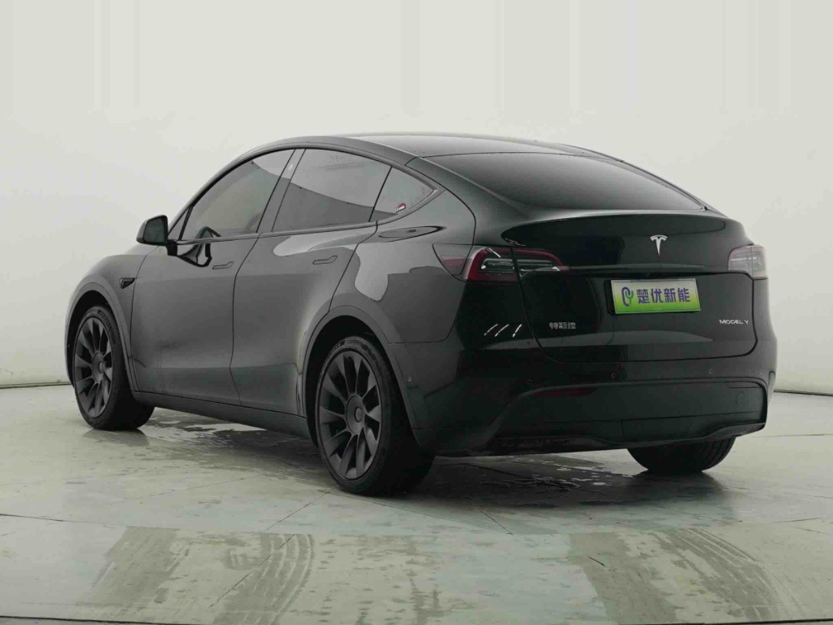 Tesla Model Y 2021 #15 Tesla Model Y 2021 car image #15