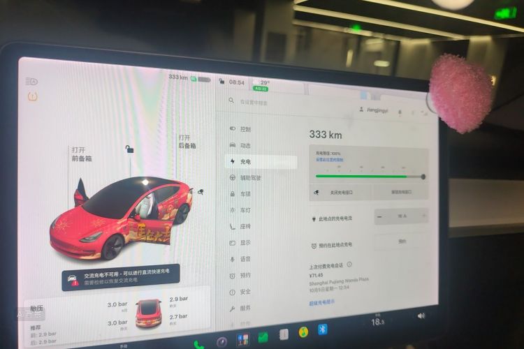 Tesla Model 3 2021 immagine di auto #13