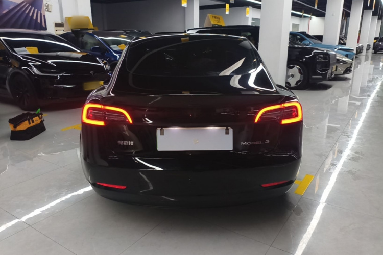 Tesla Model 3 2022 car image #6