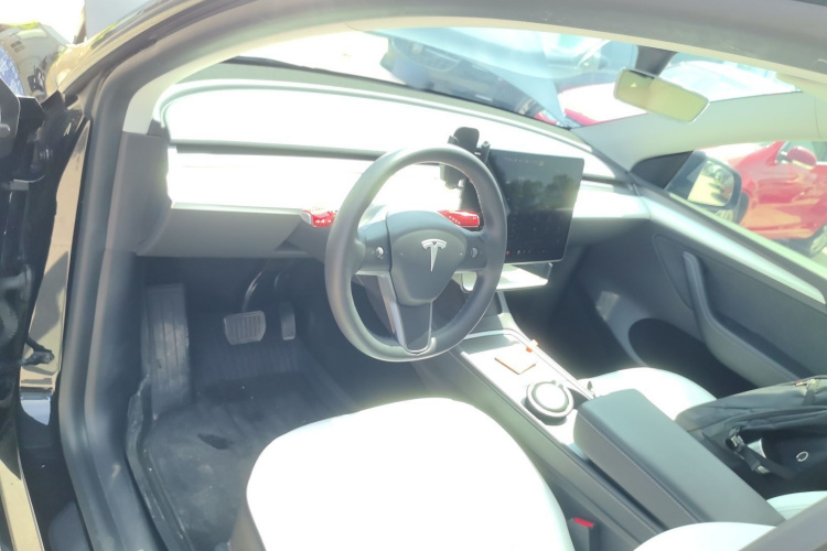 Tesla Model Y 2021 car image #10