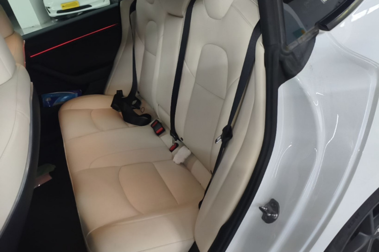 Tesla Model 3 2021 car image #13