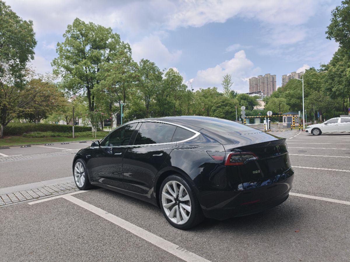 Tesla Model 3 2020 car image #6