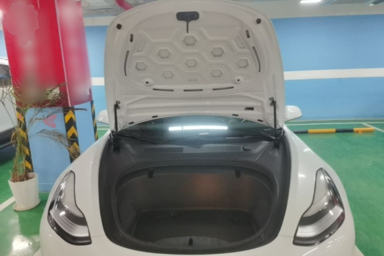 Tesla Model 3 2020 #20 Tesla Model 3 2020 car image #20