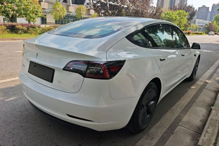 Tesla Model 3 2021 #7 Tesla Model 3 2021 immagine di auto #7
