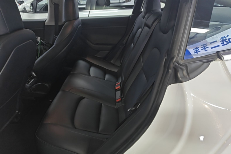 Tesla Model 3 2020 car image #13