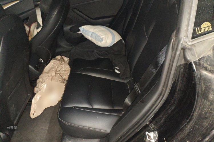 Tesla Model 3 2023 immagine di auto #19